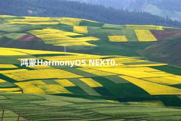 鸿蒙HarmonyOS NEXT0.0.72版本推送